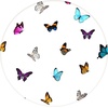 image:imageGirls Oh So Soft TShirt Dress Butterfly XXLarge  95 polyester 5 spandex crew neck pullon style soft stretch leggings layer school play travel washable